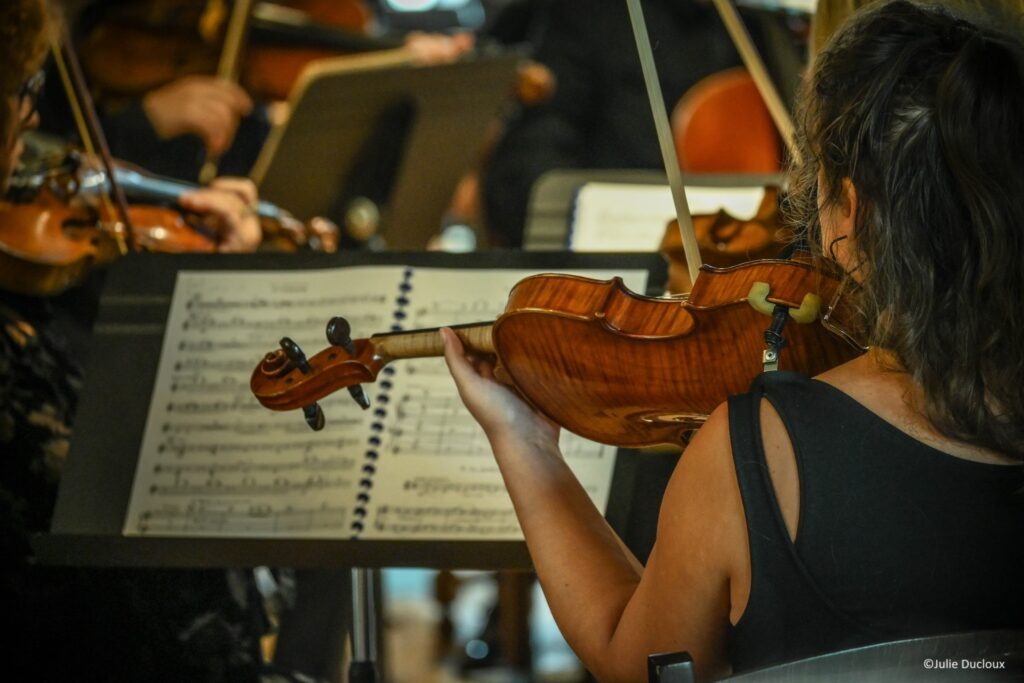 Musiciens vu de dos en concert