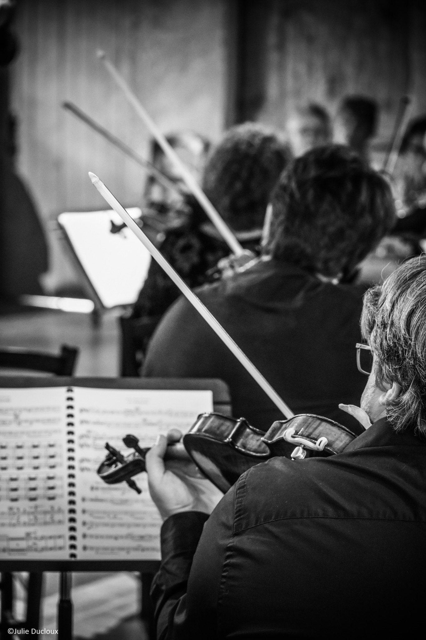 Violons vu de dos lors du concert à La Garde en 2023 - Julie Ducloux